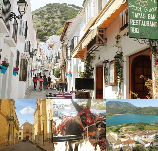 アンダルシアの小さな村（ミハス、サアラ・デ・ラ・シエラ、カルモナ等）